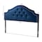 Baxton Studio Cora Royal Blue Velvet Upholstered Queen Size Headboard 154-9323 - alternate 5